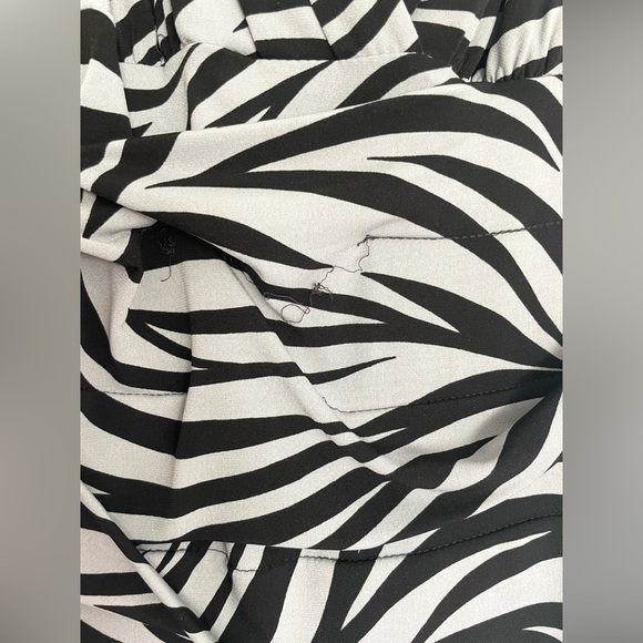 Sweet Storm Zebra Print Ruched V-Neck Dress - Picture 7 of 9